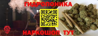 гашик Усть-Илимск