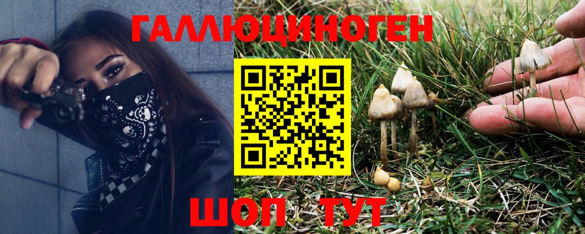 Псилоцибиновые грибы MAGIC MUSHROOMS  Усть-Илимск 