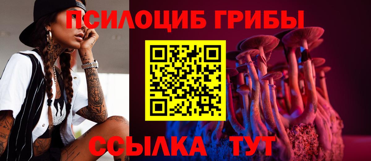 Галлюциногенные грибы Cubensis Усть-Илимск