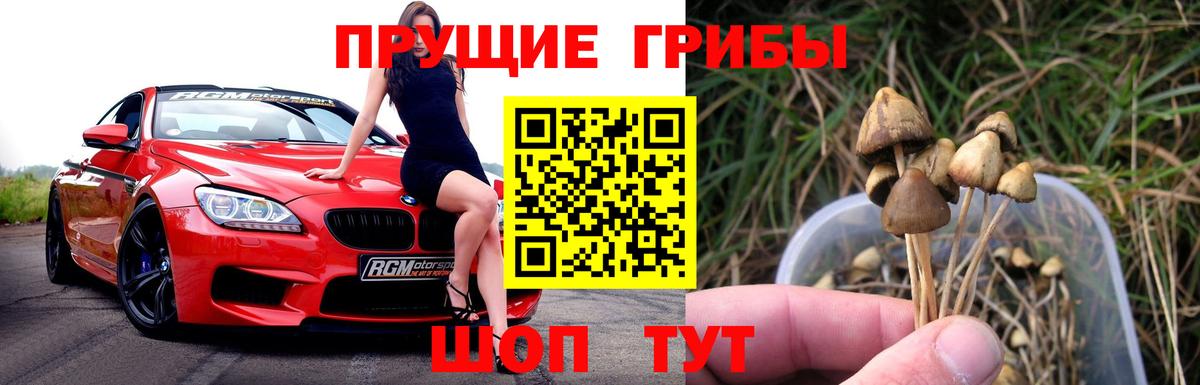 Усть-Илимск  Галлюциногенные грибы Psilocybe  Псилоцибиновые грибы Cubensis  Вход с VPN 